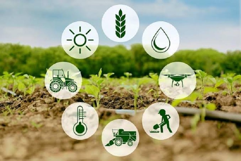 Agri Input