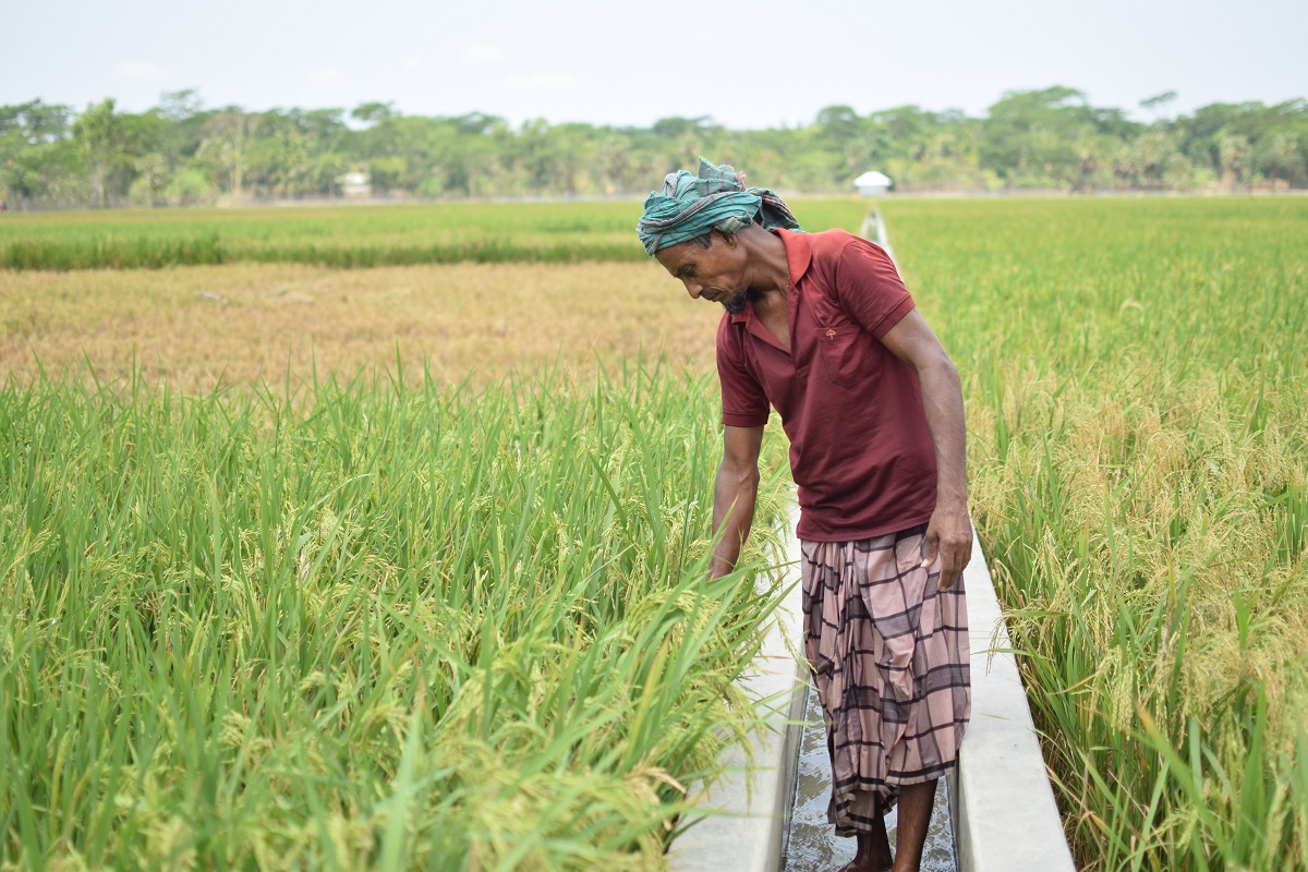 Farm Inputs