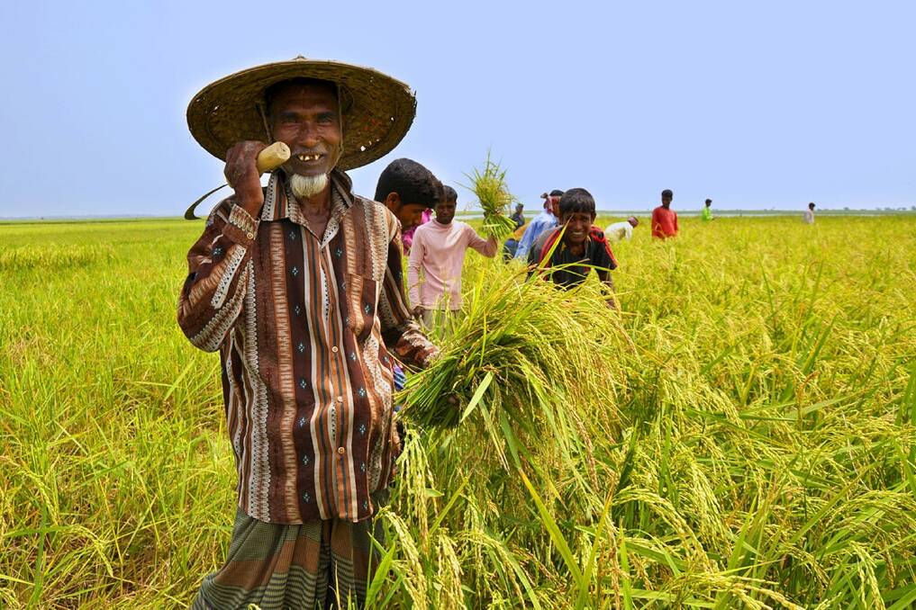 Happy Farmer